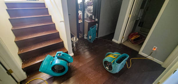Best Water damage cleanup near me  in Baldn, WI