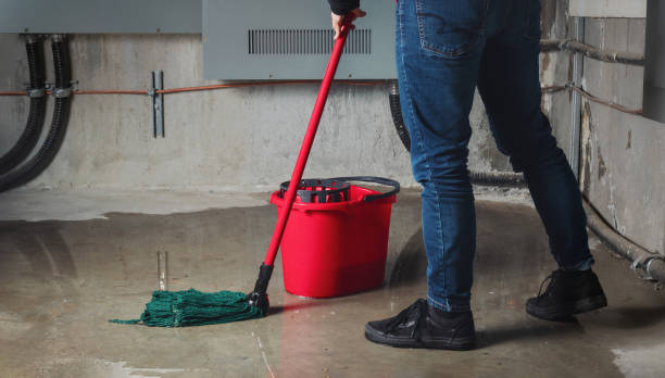 Best Ceiling water damage repair  in Baldn, WI