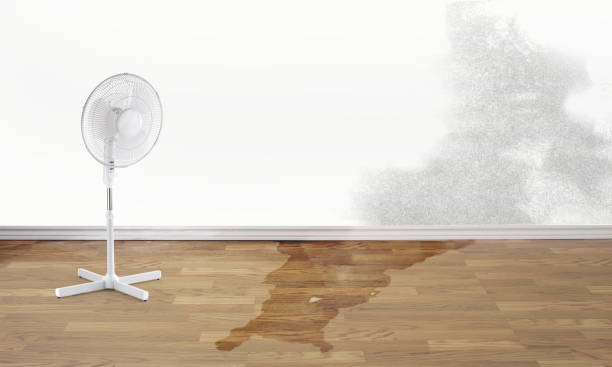  Baldn, WI Water damage restoration Pros
