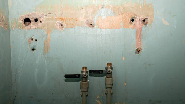 Best Water damage restoration near me  in Baldn, WI