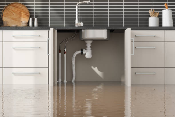 Best Water damage restoration near me  in Baldn, WI